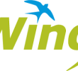 1687403295-wing